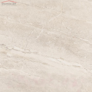 Плитка Netto Plus Gres Dyna silver polished (60x60)